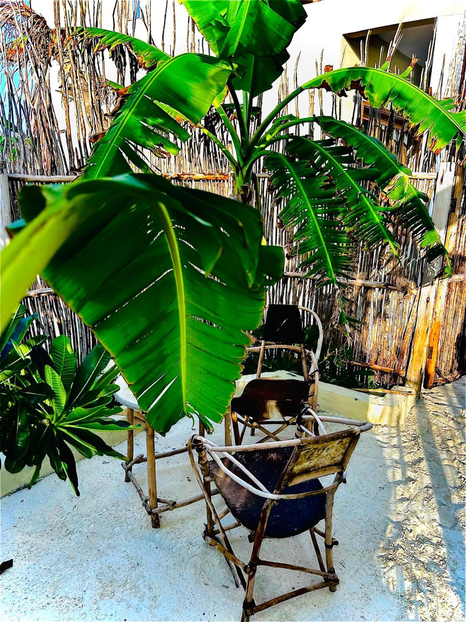 Zanzi Soul Luxury Boutique Hotel Jambiani (Zanzibar) Exterior foto